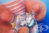 ��� ����� �� ��������� �� �������� ������